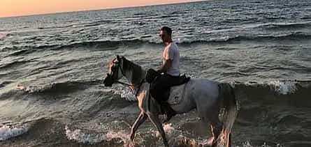 Фото 2 Paseos a caballo junto al mar