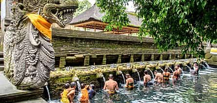 Fotoğraf 2 Ubud All Inclusive Tour: Best of Ubud
