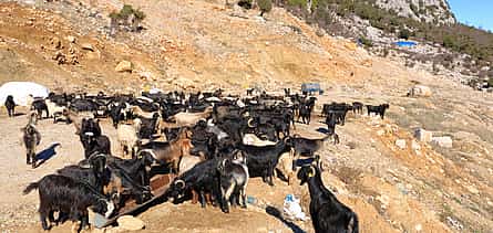 Photo 2 Private Mountain Tour in Antalya