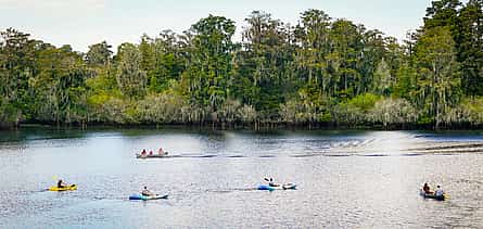 Photo 2 Mangrove Kayaking Adventure