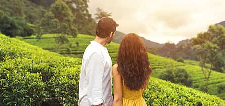 Foto 2 For Couples: Full-day Tea Route with Tea&Rum Tastings