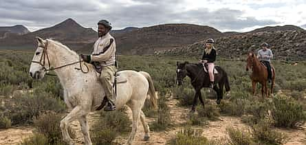 Photo 2 Full-day Horseback Safari in Aquila Game Reserve