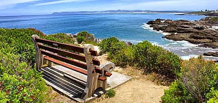 Photo 2 Private Shore Whale Watching Tour to Hermanus from Cape Town