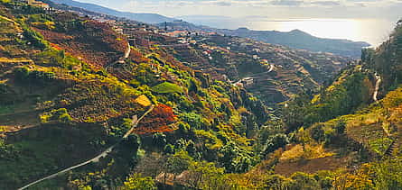 Photo 2 Northern Levada Half-day Walking Tour