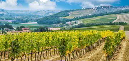 Photo 2 Exclusive Private Brunello di Montalcino from Florence