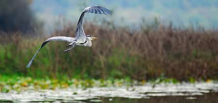 Photo 2 Bird Sanctuary and Cradle of Montenegrin Wine