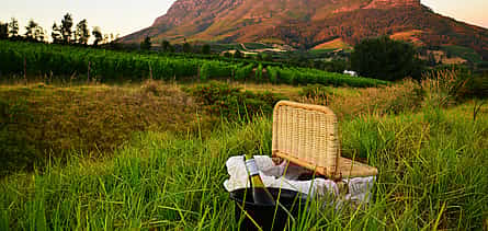Fotografie 2 Cape Town Based Private Full-Day Winelands Tour to Paarl
