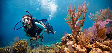 Photo 2 Dive Hurghada Open Water Course