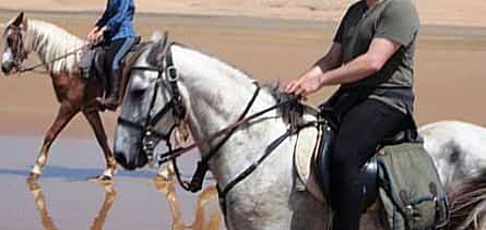 Foto 2 Agadir Reiten &amp; Flamingo Fluss