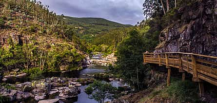 Photo 2 Paiva Walkways Nature and Adventure Tour