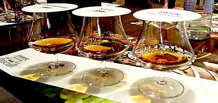 صورة 2 Ararat Brandy Factory Tour (Flavors package)