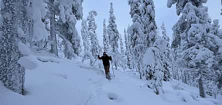 Photo 2 Snowshoeing in Levi