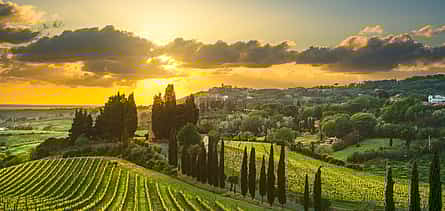 Photo 2 Chianti Private Wine Tasting Tour from Rome