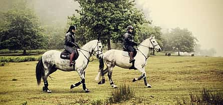 Photo 2 Private Horse Riding Tour in Madeira