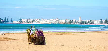 Photo 2 Essaouira Beach: Private Full-day Luxury Trip from Marrakesh