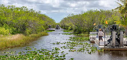 Photo 2 The Never Ending River of Grass