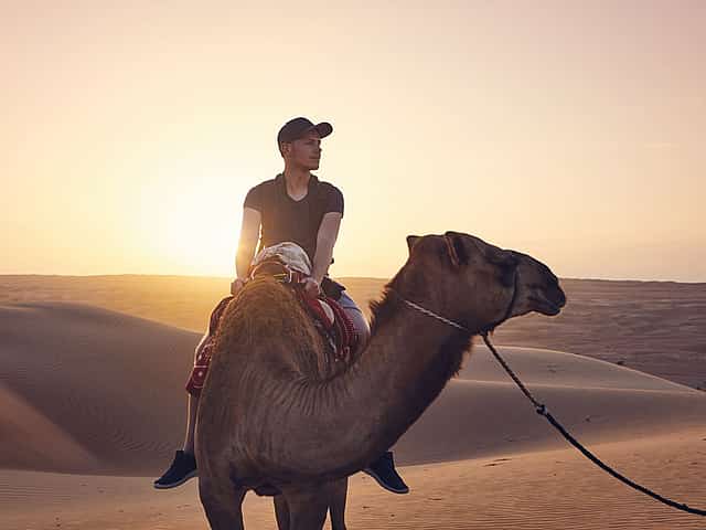 Desert Safari in the Evening