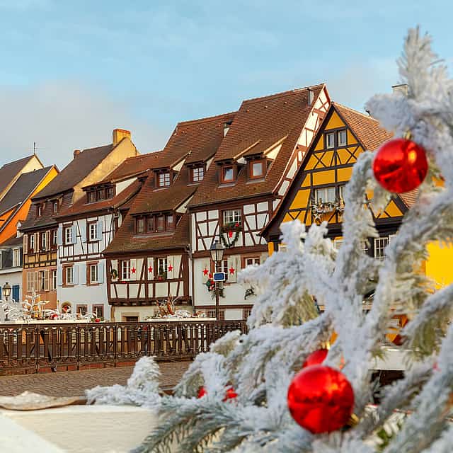 Magic of Christmas in Colmar  Private Walking Tour