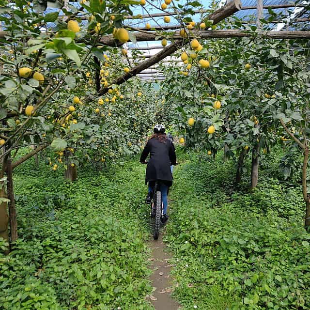 E-bike Tour in Sorrento with Limoncello Tasting