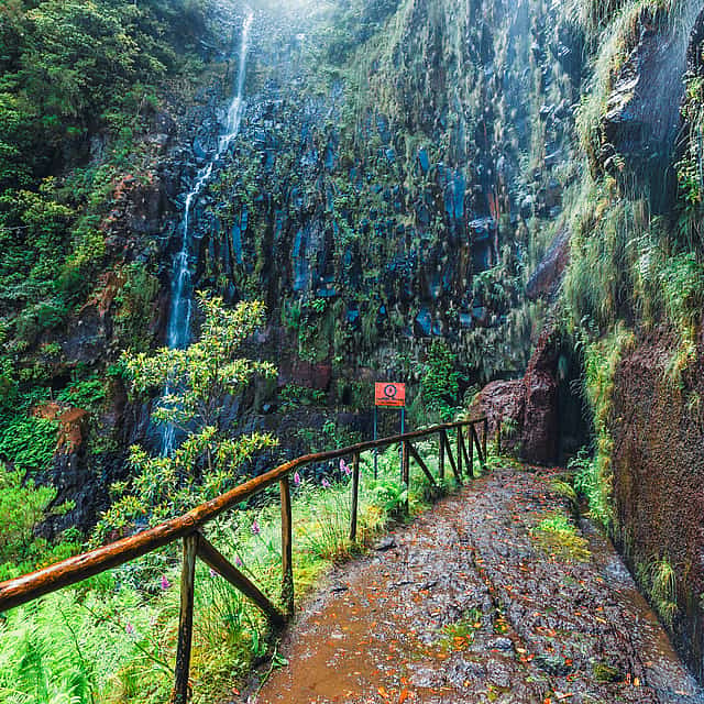Ganztägige Wandertour zu den Seen von Madeira