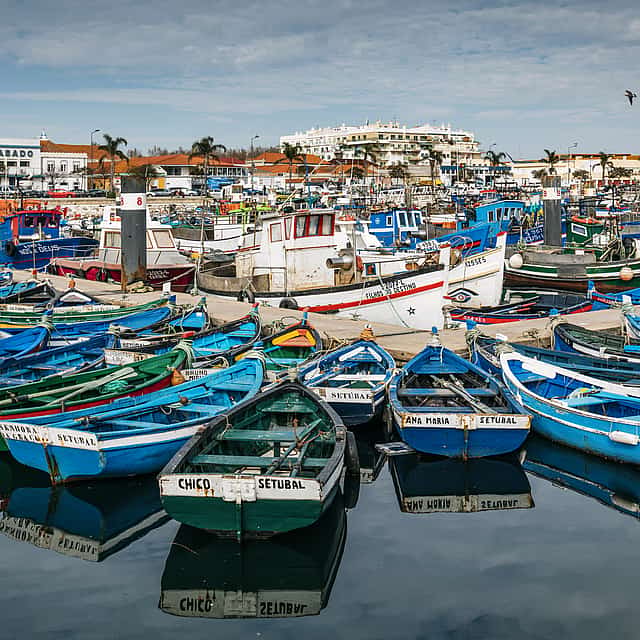 Esperienza gastronomica tradizionale del pescatore