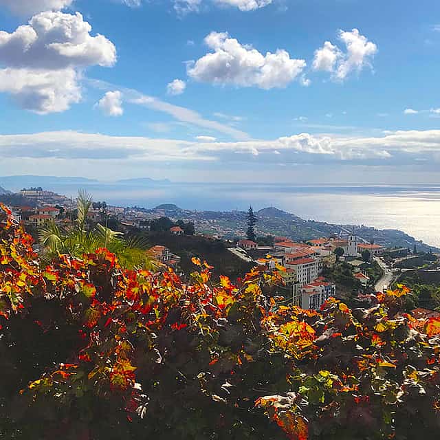 Northern Levada Half-day Walking Tour