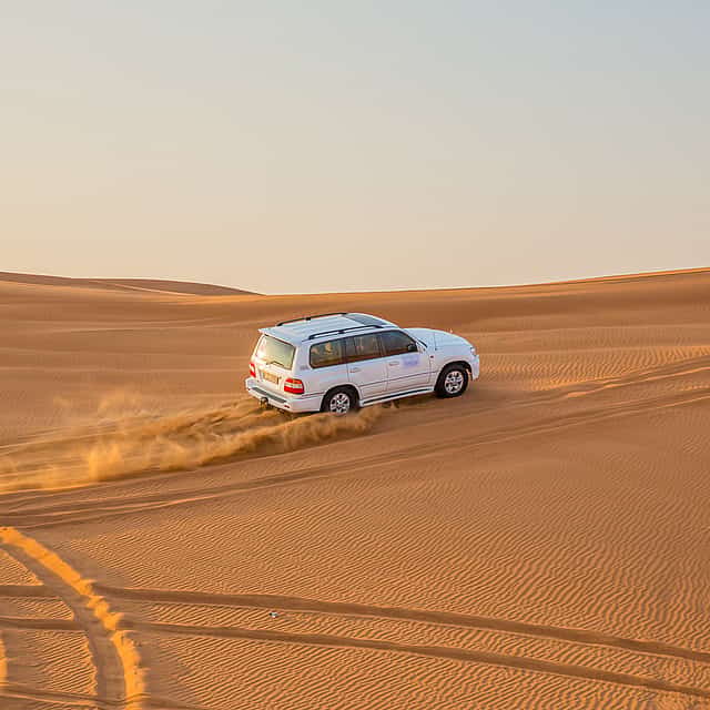 Safari nel deserto di una giornata intera