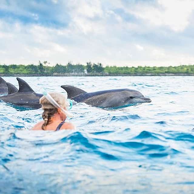 Excursión a Zanzíbar nadando con delfines