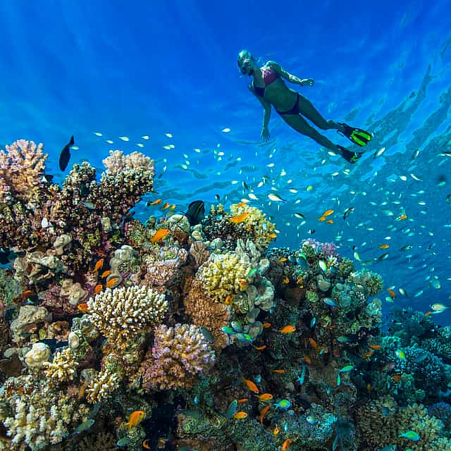 Excursión privada de snorkel a Dahab