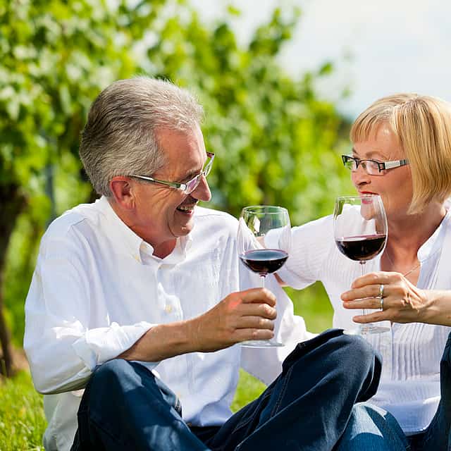 Private Full-day Stellenbosch or Franschhoek or Paarl Wine Tour from Cape Town
