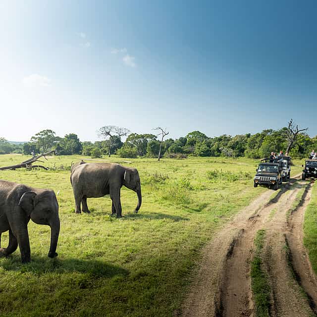 Private Jeep Safari to a National Park for a Couple