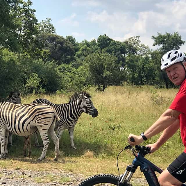 Bicicleta eléctrica con caza salvaje cerca de Johannesburgo