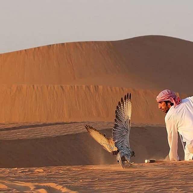 Safari Premium por el desierto de Dubai