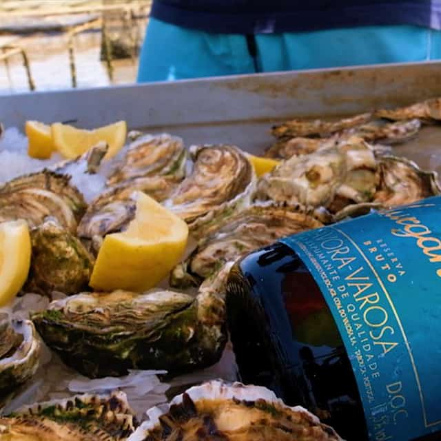 Segways, Surf and Oysters in the Ria Formosa Tour