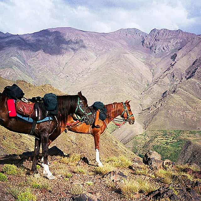Excursión de 2 días a caballo por el Alto Atlas