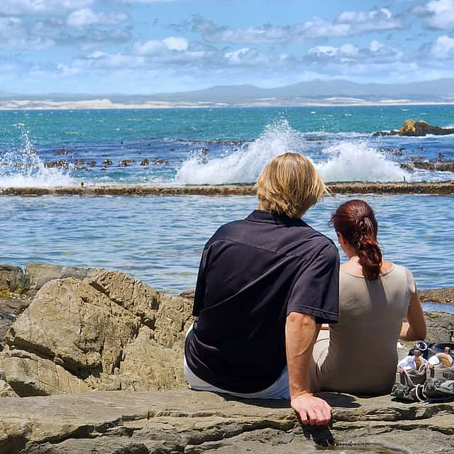 Private Shore Whale Watching Tour to Hermanus from Cape Town