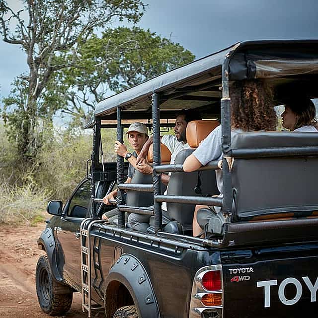 Private Safari with Luxury Overnight Camping in Wilderness