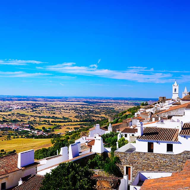 Taste Wine and Coffee in Portugal Tour