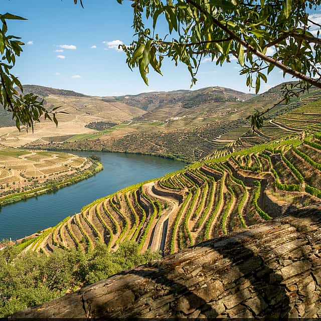 Douro Valley Wine Tour with Boat and Lunch