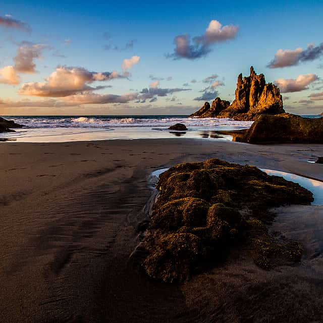 Half-day Private Tour Discovering Anaga Tenerife