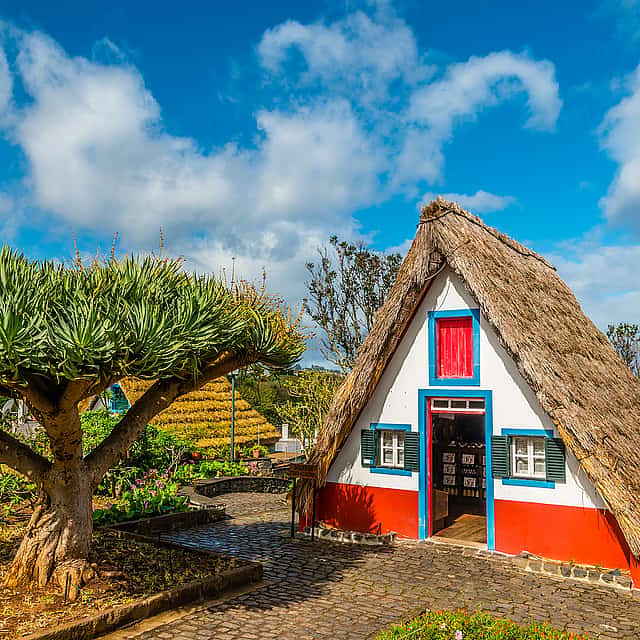 Madeira Melhor do Leste Excursão de Dia Inteiro