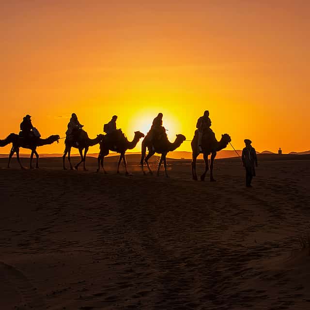Sunset Camel Ride and Dinner in Agafay Desert