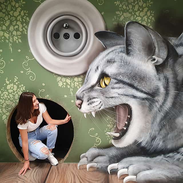 Museum of Fantastic Illusions