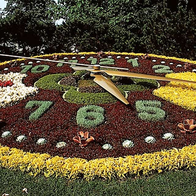 Guided Geneva City Tour by Bus