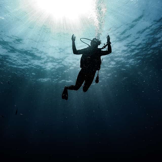 8 días de buceo en Lisboa