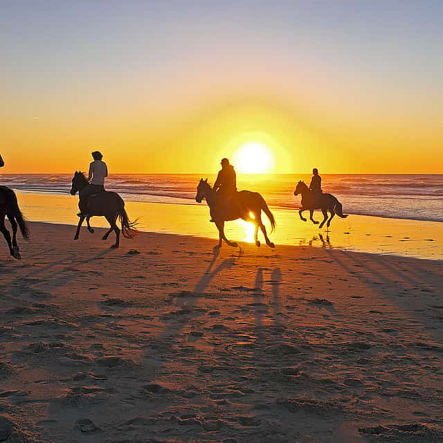 Paseos a caballo en Corfú