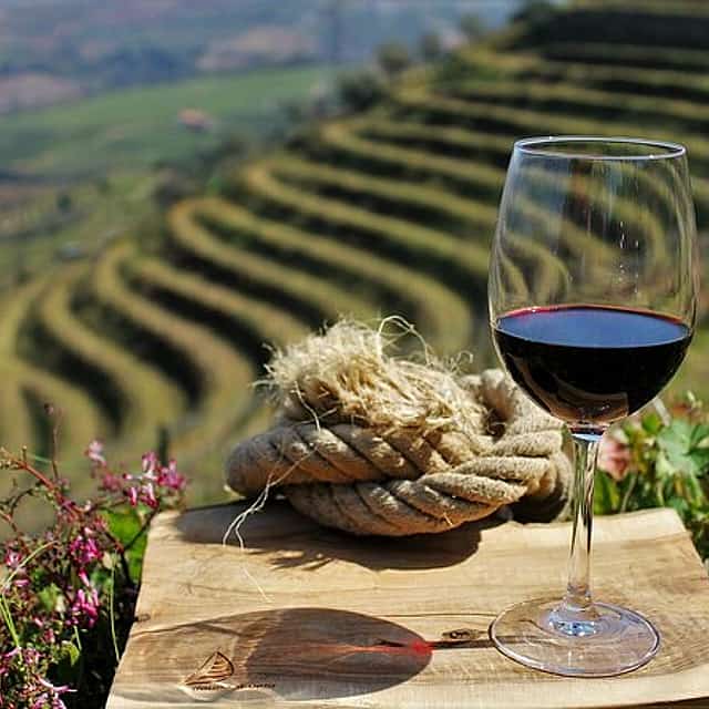 Excursión al valle del Duero con 3 bodegas y almuerzo
