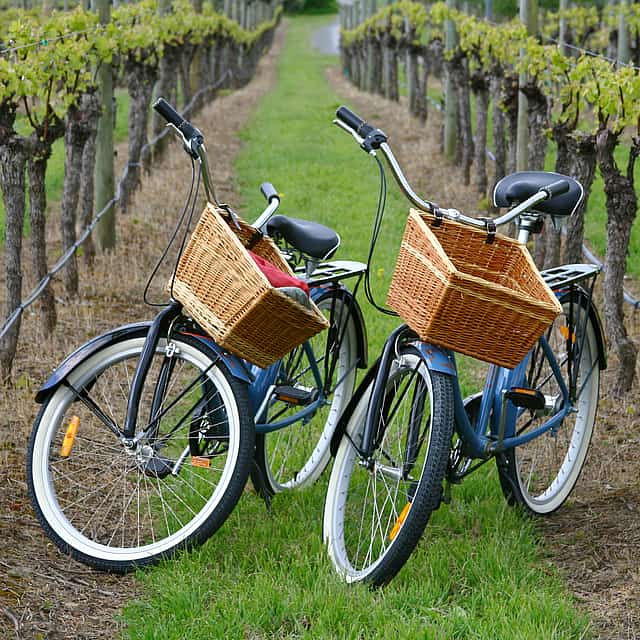 Vineyard Bike Tour in Binissalem and Wine Tasting