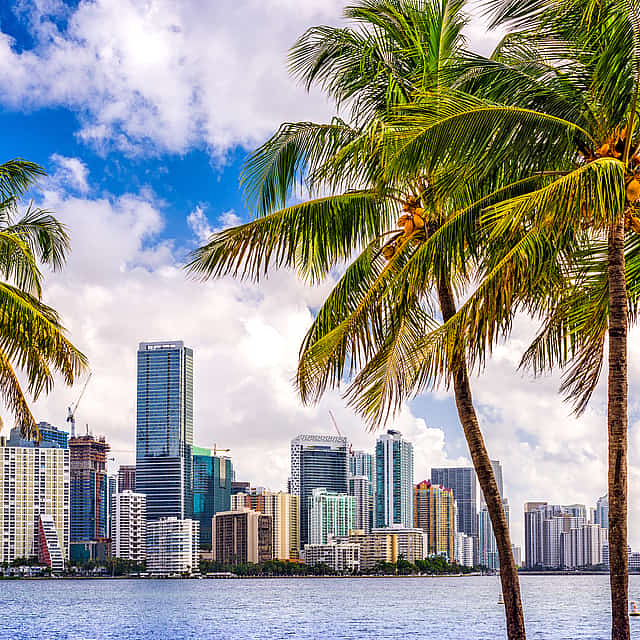 Paquete de 3 días en Miami Beach con excursión en autobús y barco por Miami, Everglades y Cayo Hueso