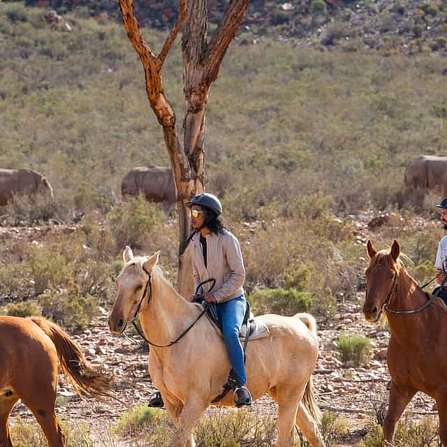 Safari a caballo de día completo en la Reserva de Caza de Aquila